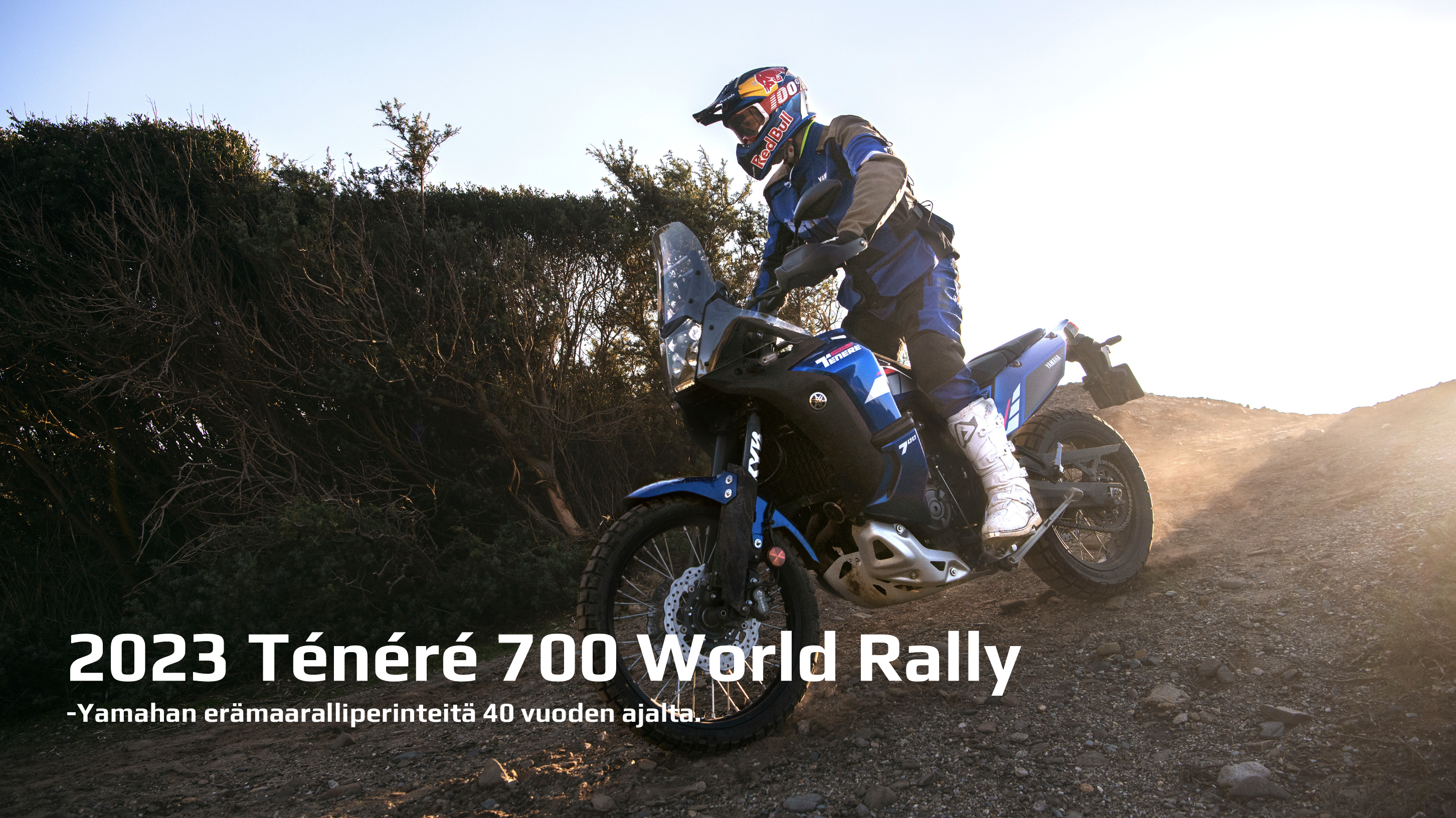  Uusi Yamaha Ténéré 700 World Rally 