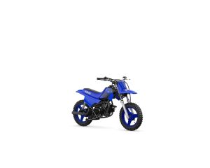 Yamaha PW