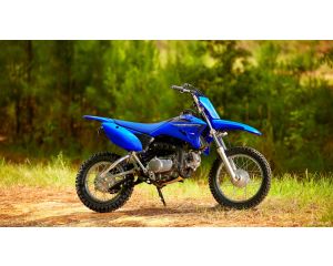 Yamaha TT-R